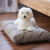 Naturepedic Organic Pet Bed with Washable Waterproof Cover