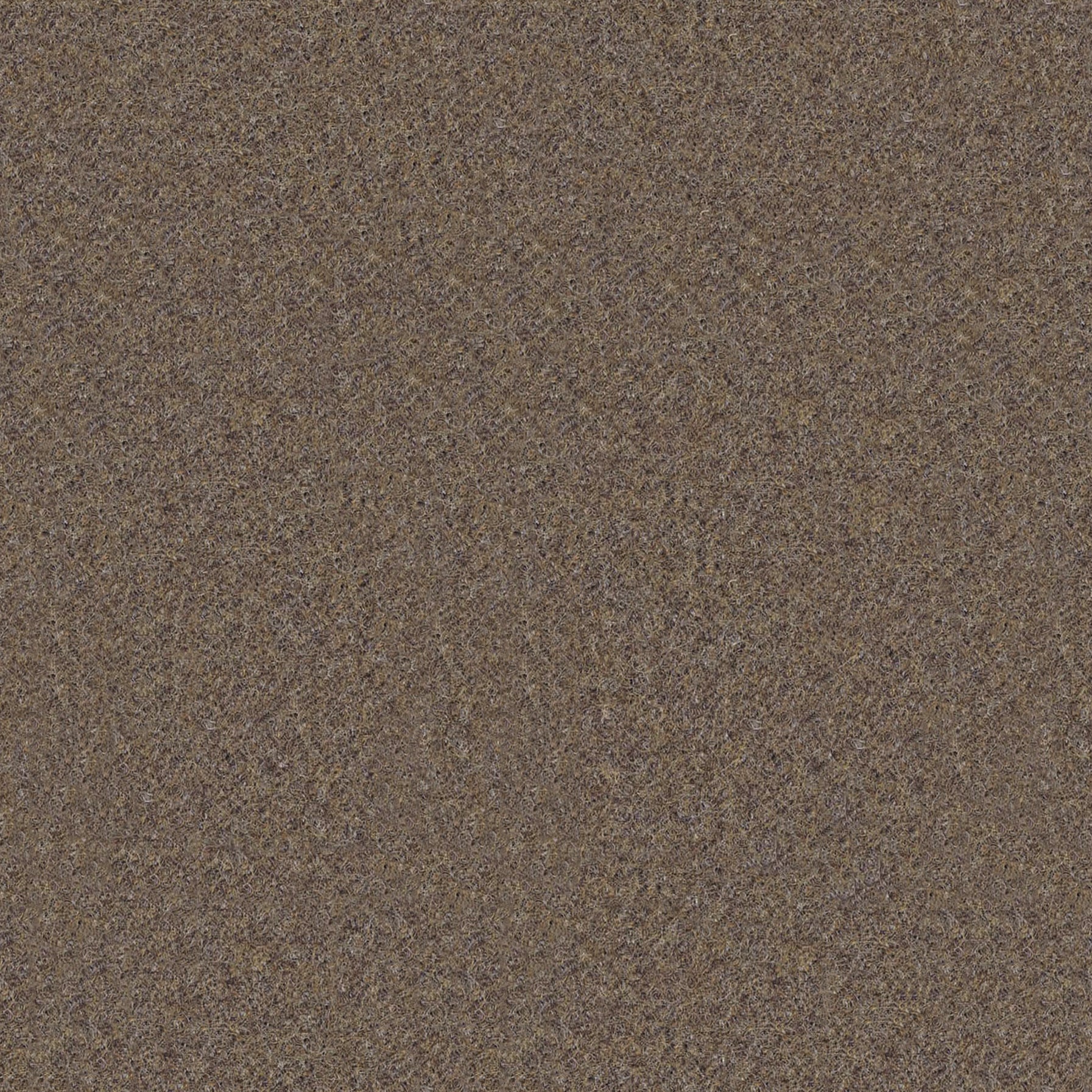 Synergy Fabric Swatches (Group C)