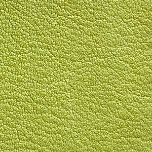 Nappa Leather by the hide