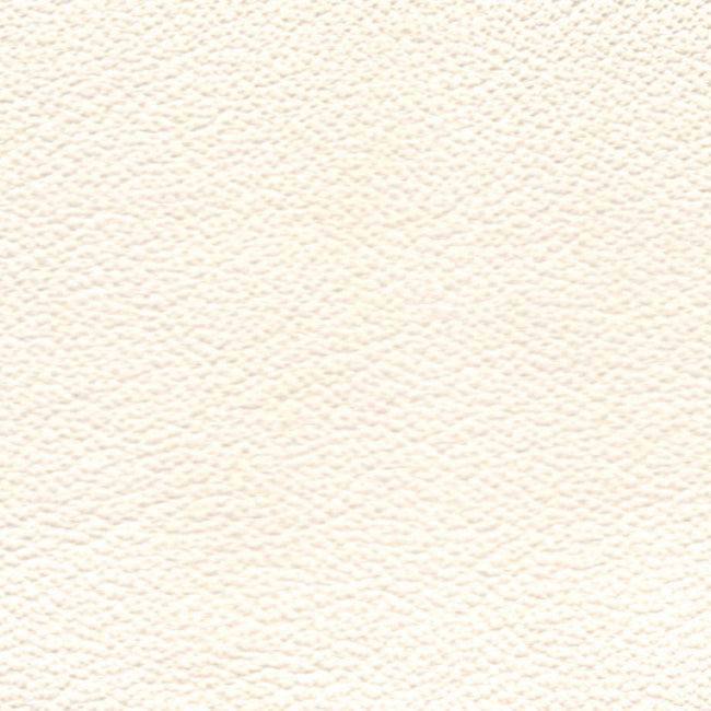 Nappa Leather by the hide