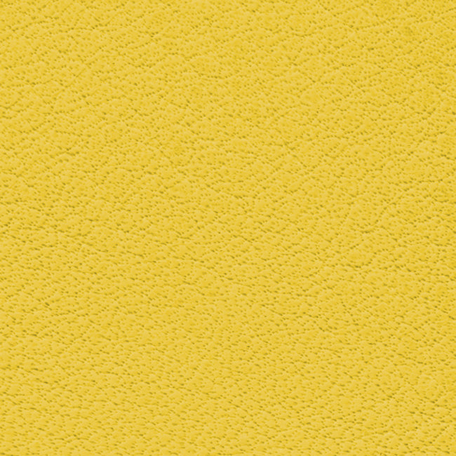 Nappa Leather by the hide