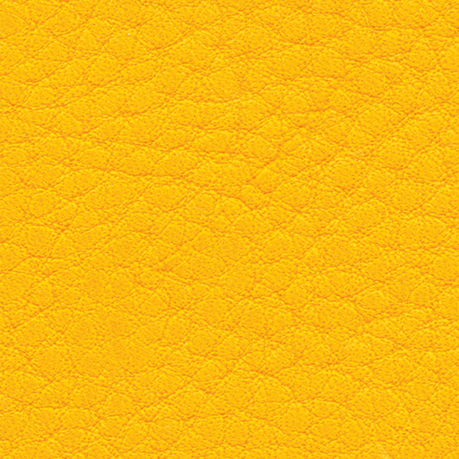 Nappa Leather by the hide