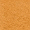 Rodeo Soft Leather Samples